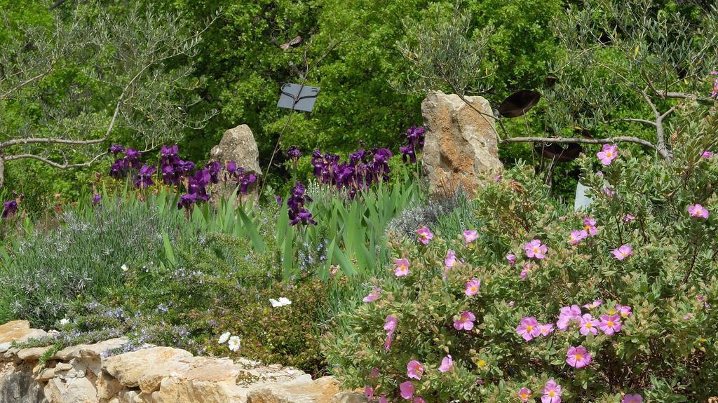 Tourves Les Hauts Des Materonnes المظهر الخارجي الصورة